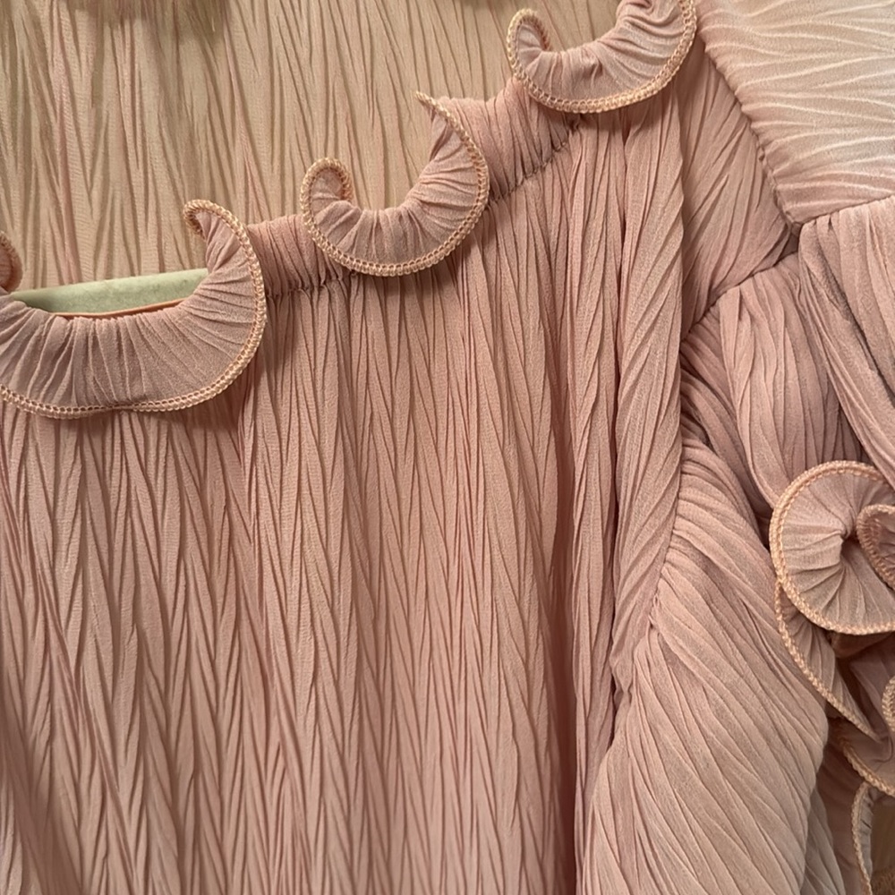 Pink Ruffle Blouse - Picture 3 of 3